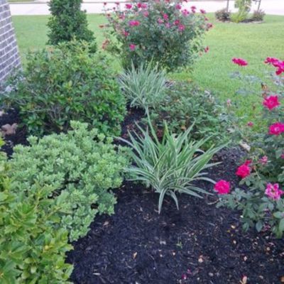 Lawn Keeper