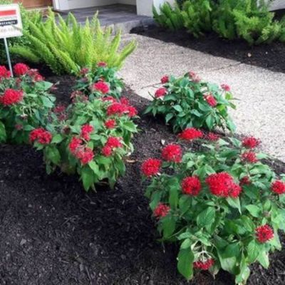 2Gals Landscaping And Construction