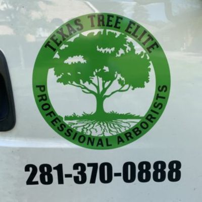 Texas Tree Elite